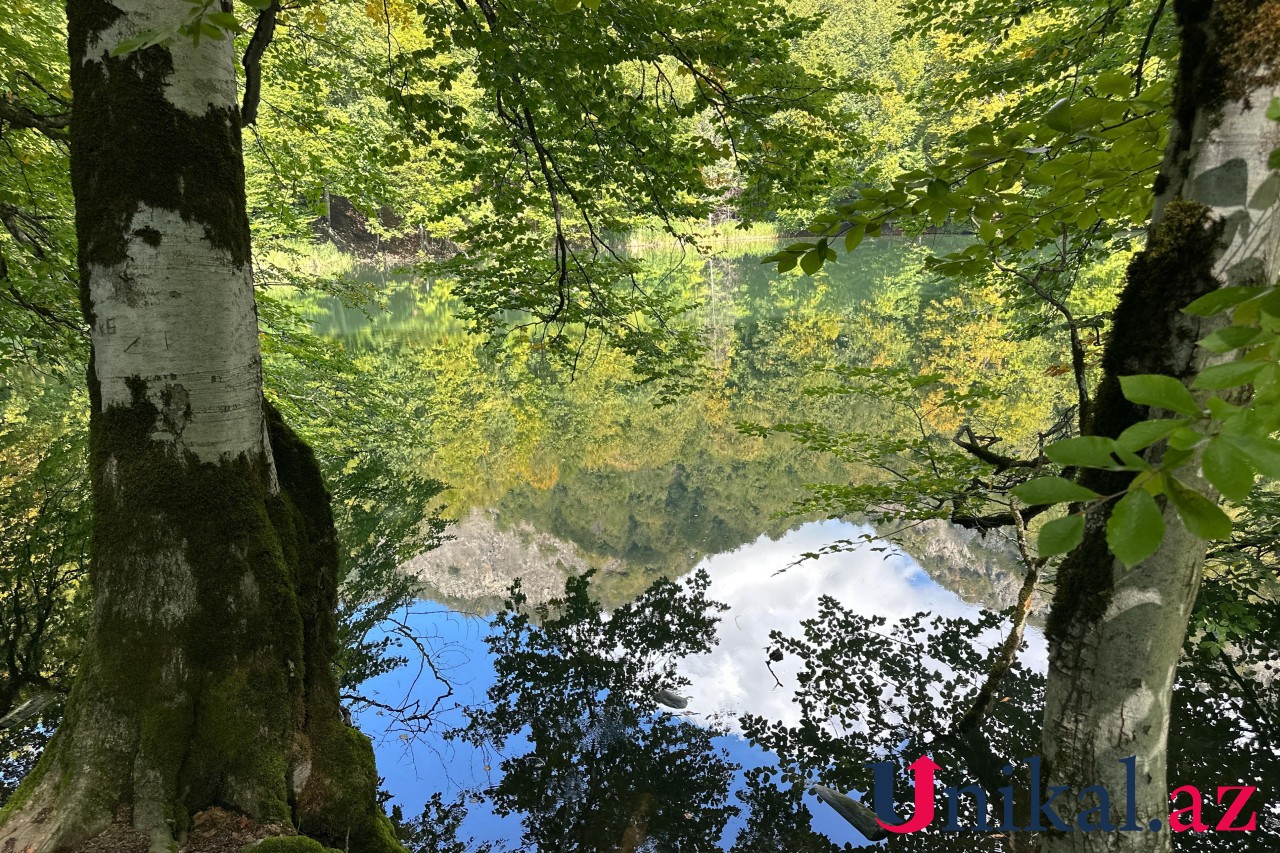 Adı "qara", özü cənnət - FOTOLAR